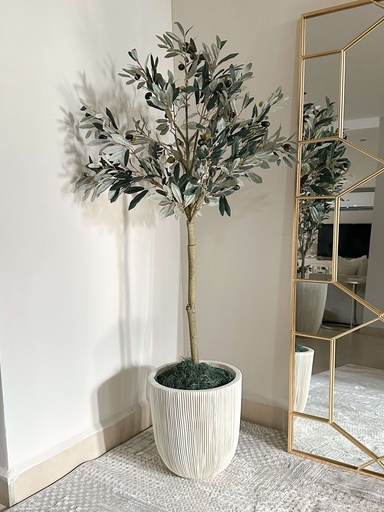 [MTF21389] Arbol de olivo con fruto