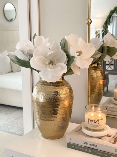 [XF683] Magnolia nevada