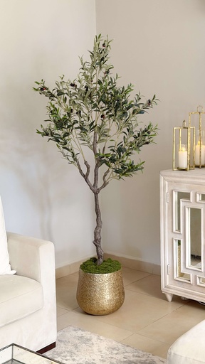 [FT7358] Arbol de olivo de 6 pies con fruto