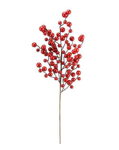 [EC580724] Rama de berries rojos brillantes